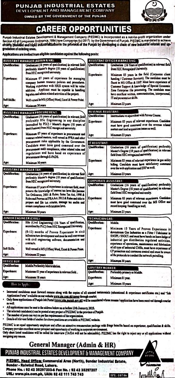 Assistant Manager 